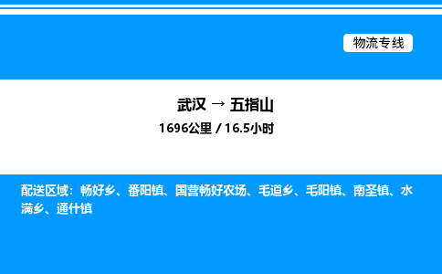 武漢到五指山物流專(zhuān)線(xiàn)-武漢至五指山貨運(yùn)公司